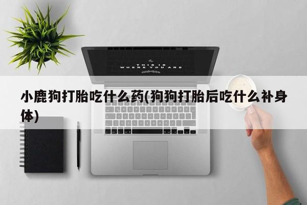 网上微信米非司酮片在线购小鹿狗打胎吃什么药(狗狗打胎后吃什么补身体)