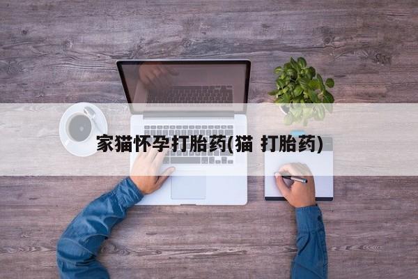 网上微信米非司酮片在线购家猫怀孕打胎药(猫 打胎药)